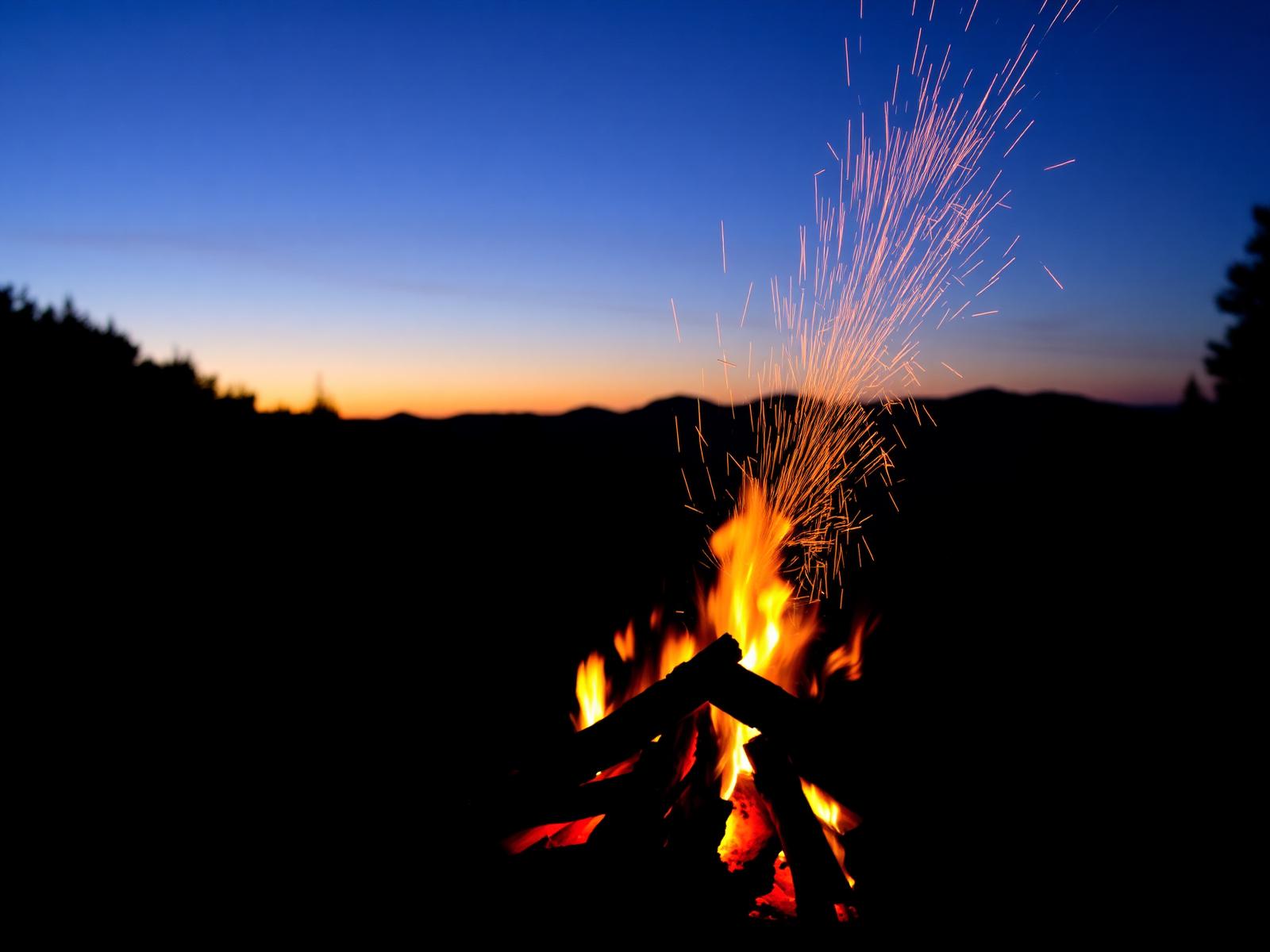 Campfire Nights
